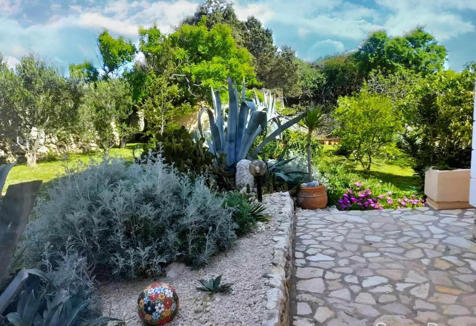 Villa Cesarica Novalja Exterior foto